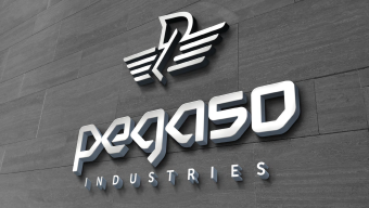 Новый холдинг Pegaso Industries Spa