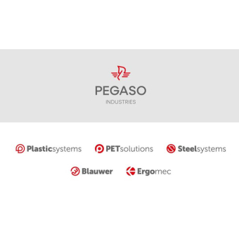 Pegaso обновляет систему визуальной идентификации и коммуникационные стратегии